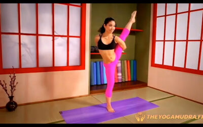 POSTURE 83: BIRD OF PARADISE POSE